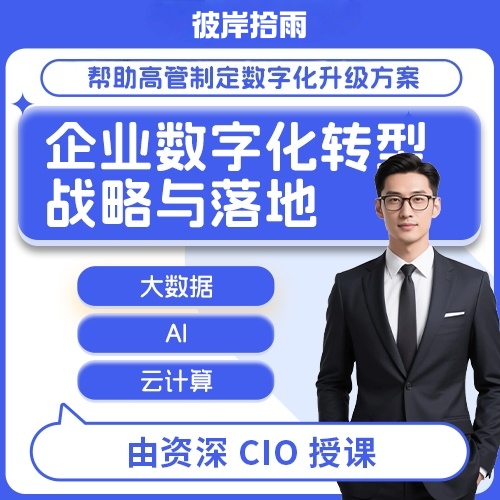 企业数字化转型战略与落地